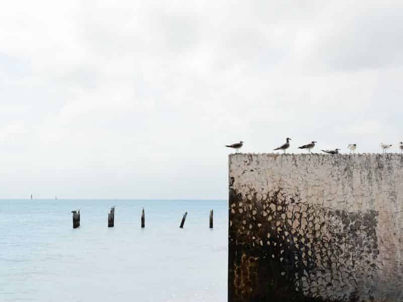 Our Commitment to Fair & Accurate Immigration Reporting