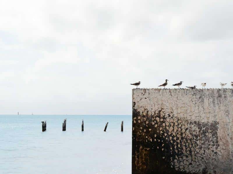 Our Commitment to Fair & Accurate Immigration Reporting