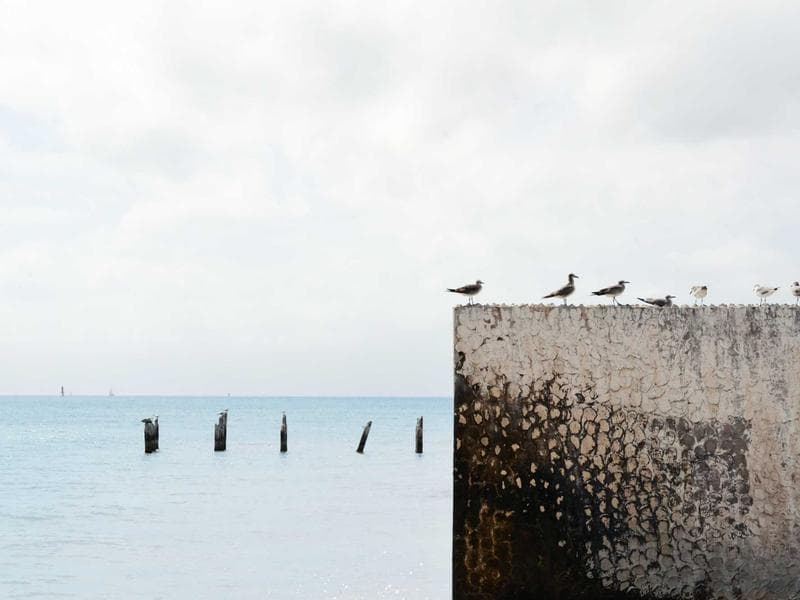 Supreme Court Hearing on Dreamers Act Set for June